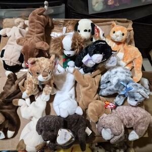 Ty Plush Toy Set  - Brown, White, Black, Orange